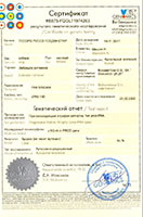 ТЖ Питомник ТЕСОРО РУССО ГОЛДЕН СТАР ВетГеномика Сертификат от 25.02.2020г. (B875-FQGL71974263)