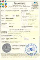 ТЖ Питомник ТЕСОРО РУССО ГОЛДЕН СТАР ВетГеномика Сертификат от 25.02.2020г. (B875-YERN42775475)